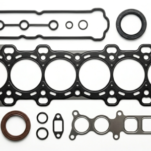 Gaskets & seals